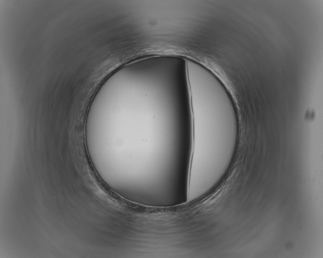 X0000093260433200709261621