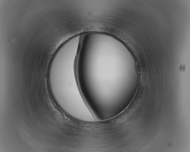 X0000093260434200709261621