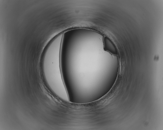 X0000093260435200709261621