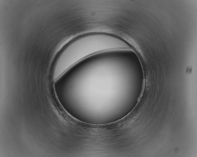 X0000093260436200709261621