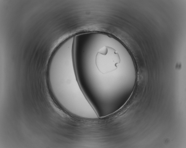 X0000093260438200709261621