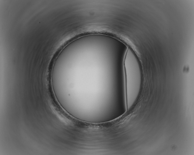 X0000093260439200709261621