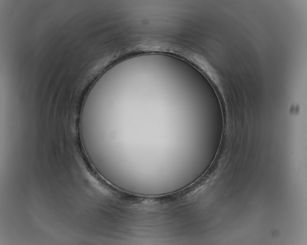 X0000093260441200709261621