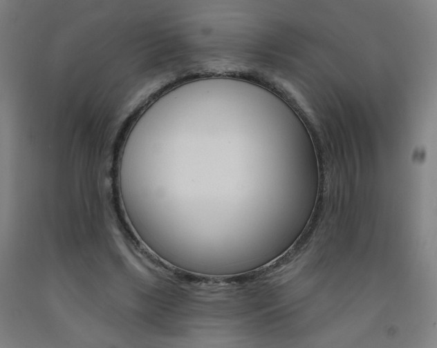 X0000093260443200709261621
