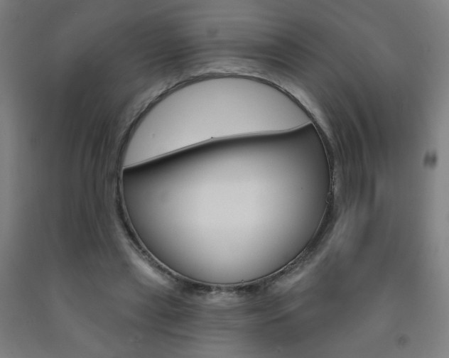 X0000093260445200709261621