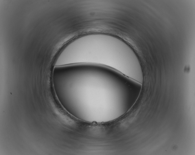 X0000093260446200709261621