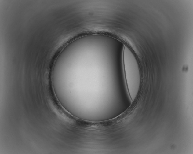 X0000093260447200709261621
