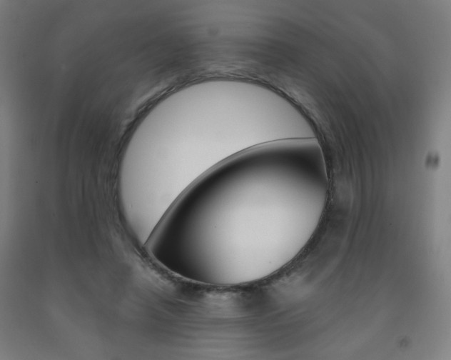 X0000093260450200709261621