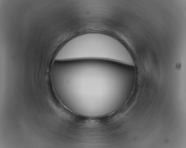 X0000093260451200709261621
