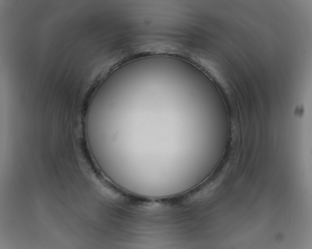 X0000093260453200709261621