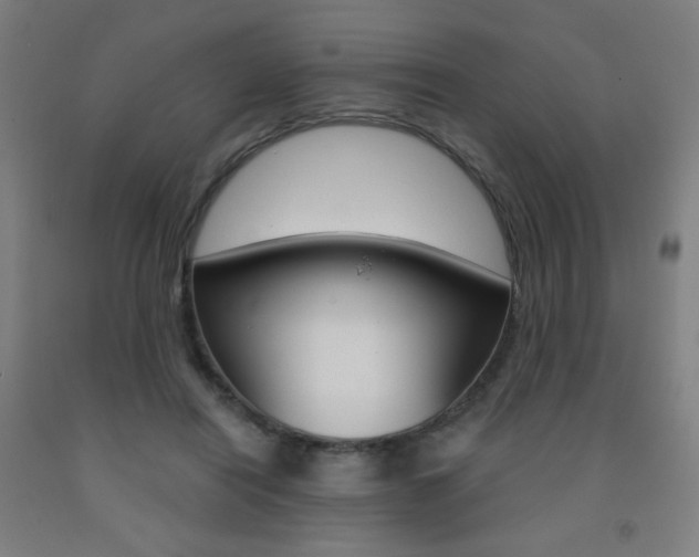 X0000093260454200709261621