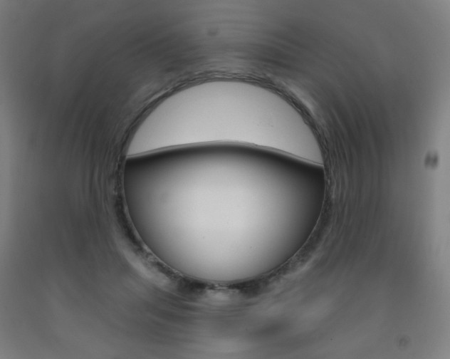 X0000093260455200709261621