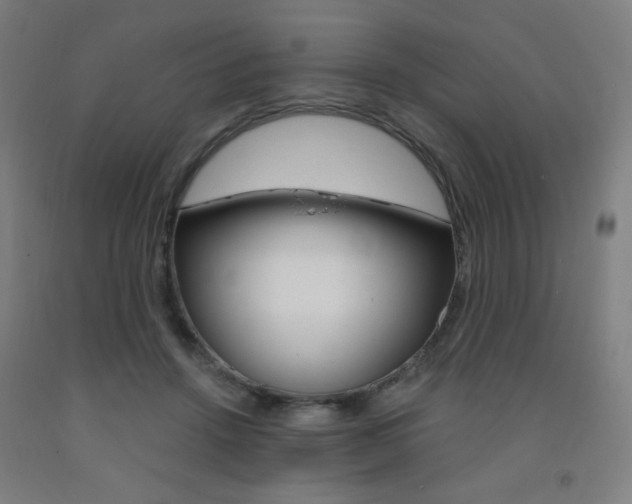 X0000093260456200709261621