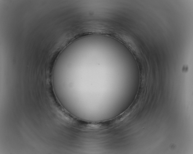 X0000093260457200709261621