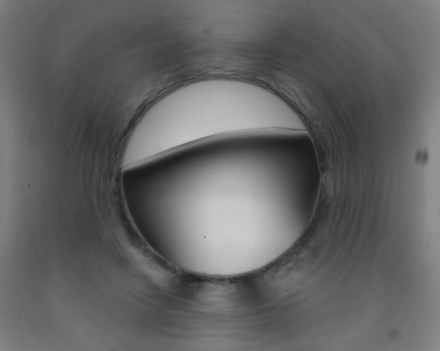 X0000093260458200709261621
