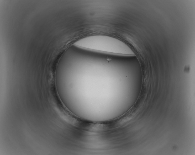 X0000093260459200709261621