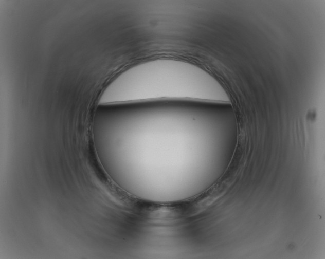 X0000093260460200709261622