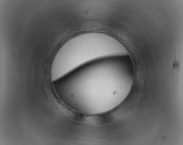 X0000093260461200709261622