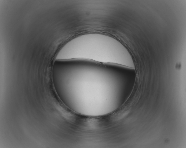 X0000093260462200709261622