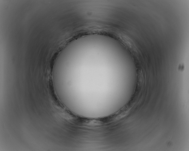 X0000093260463200709261622
