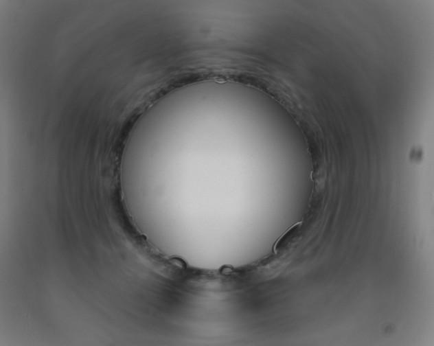 X0000093260464200709261622