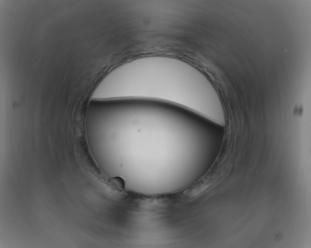 X0000093260465200709261622
