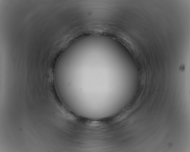 X0000093260467200709261622