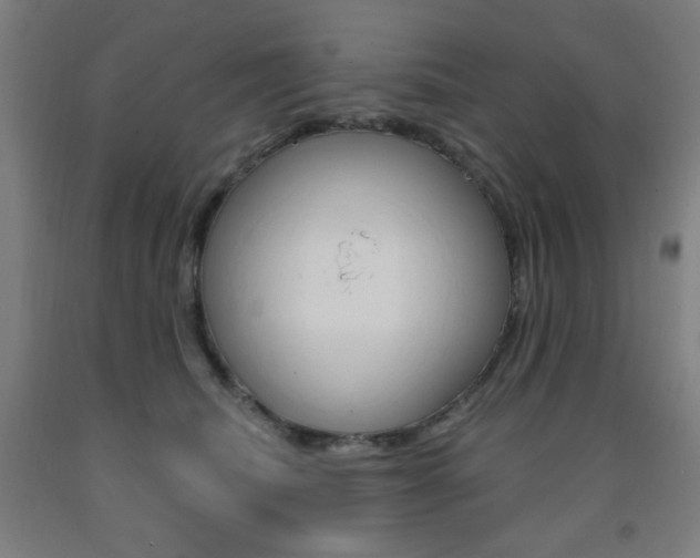 X0000093260468200709261622