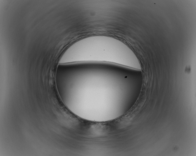 X0000093260470200709261622
