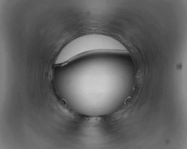 X0000093260474200709261622