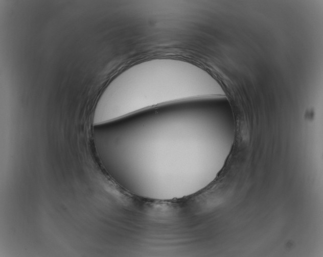 X0000093260475200709261622