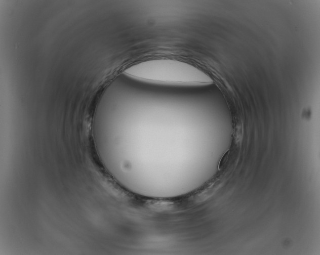 X0000093260476200709261622