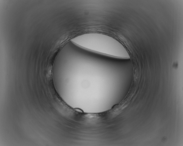X0000093260477200709261622