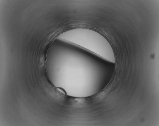 X0000093260478200709261622
