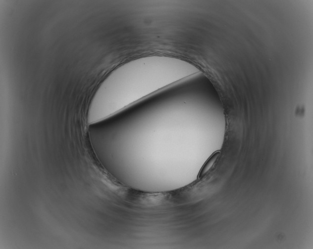 X0000093260479200709261622