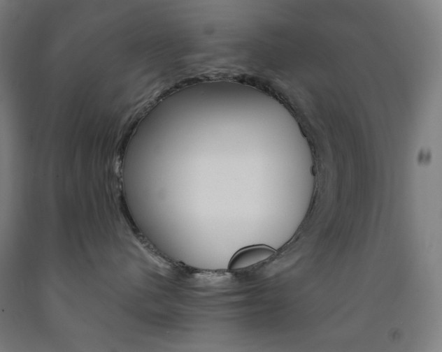 X0000093260480200709261622
