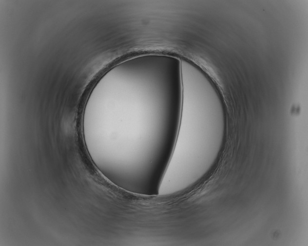 X0000093260483200709261621