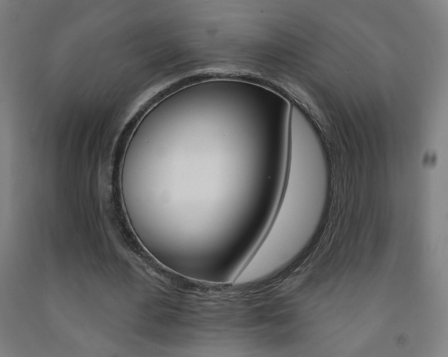 X0000093260484200709261621
