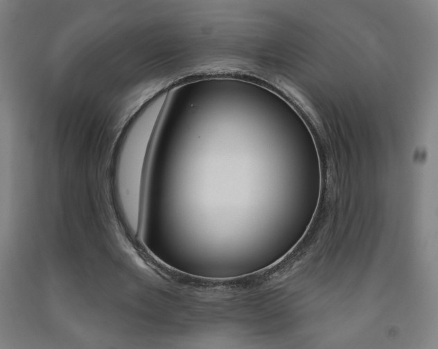 X0000093260485200709261621