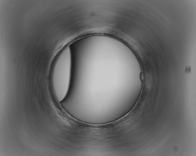 X0000093260486200709261621