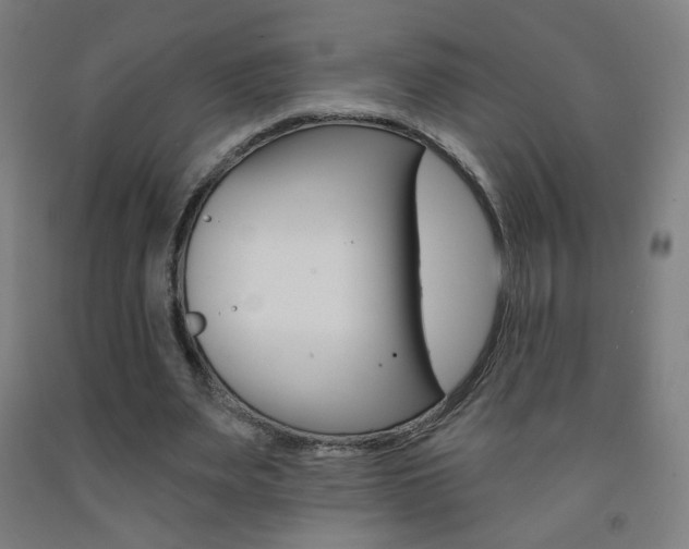 X0000093260487200709261621