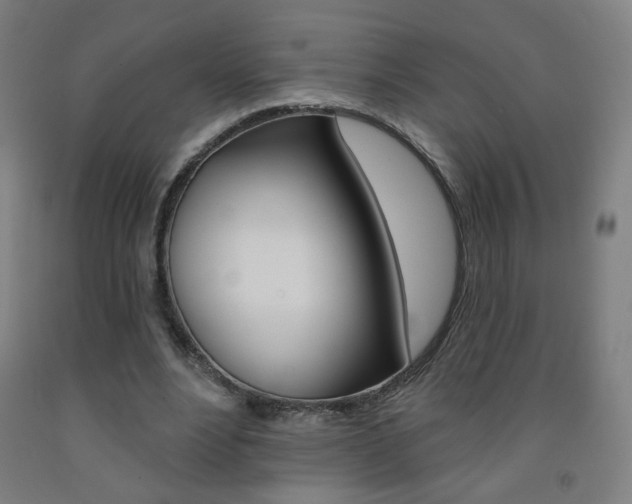 X0000093260488200709261621