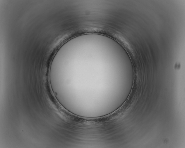 X0000093260490200709261621