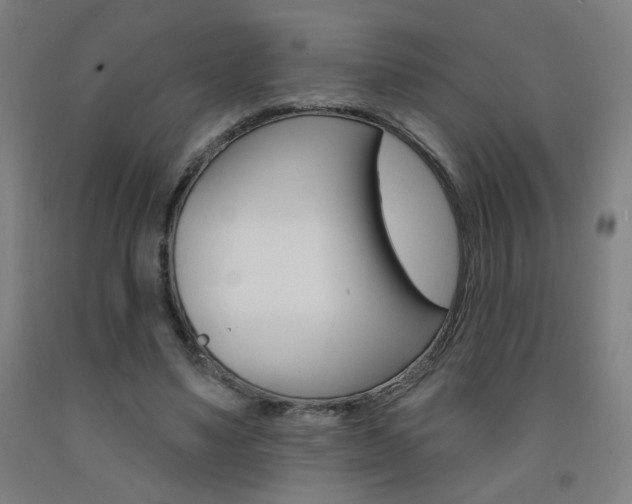 X0000093260491200709261621