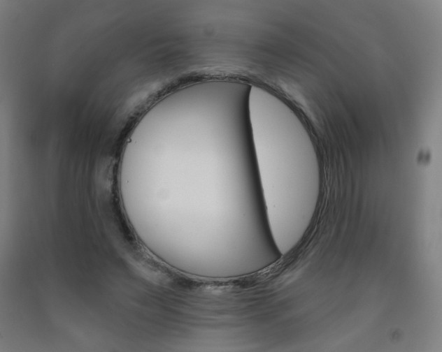 X0000093260495200709261621