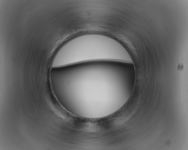 X0000093260496200709261621