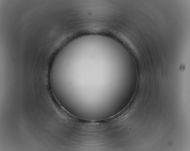 X0000093260497200709261621