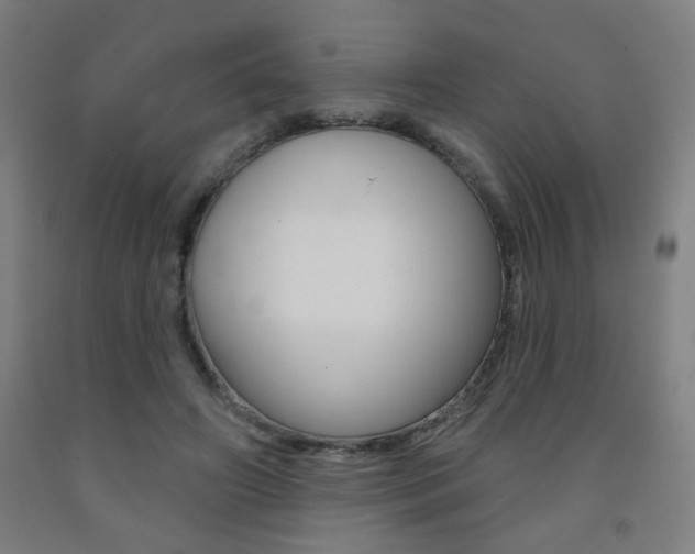 X0000093260498200709261621