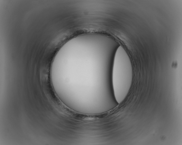X0000093260499200709261621