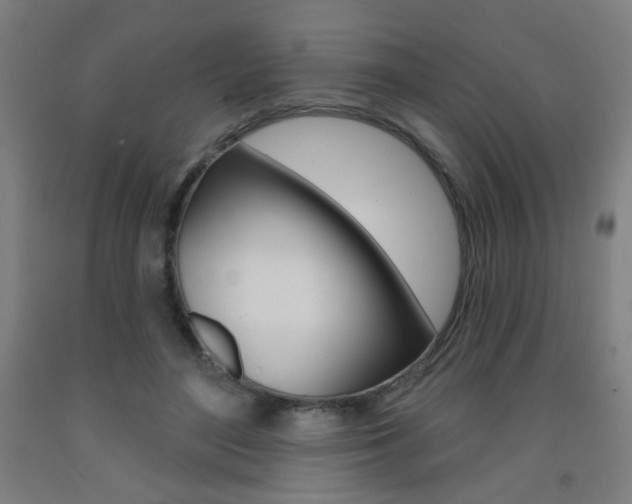 X0000093260500200709261621